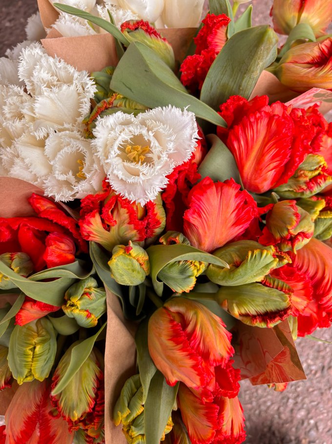 Des tulipes 100 % locales pour Pâques photo 2